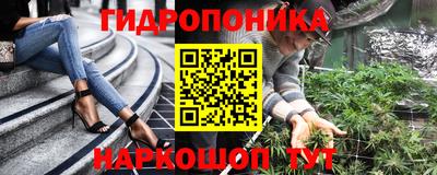 индика Краснокаменск