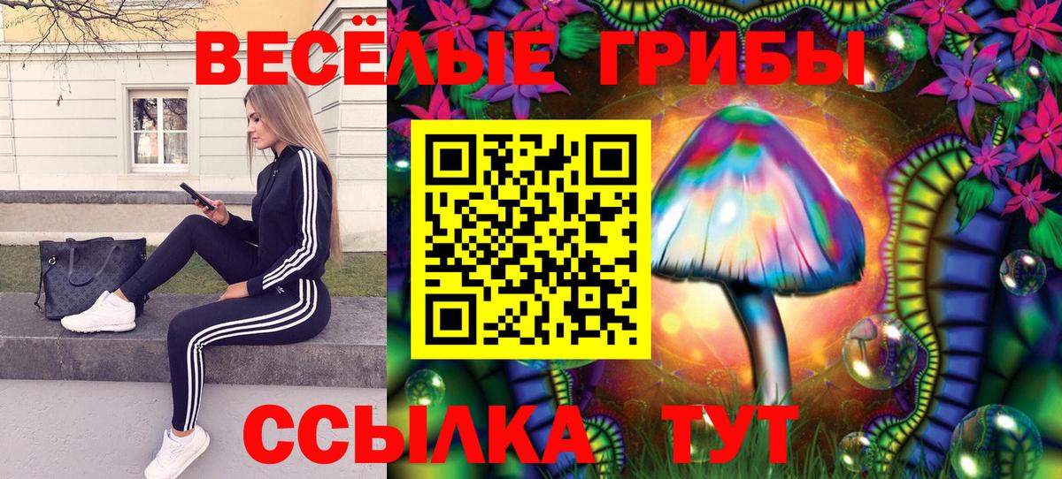 Кинешма  Галлюциногенные грибы прущие грибы  Псилоцибиновые грибы мухоморы  Вход с VPN 